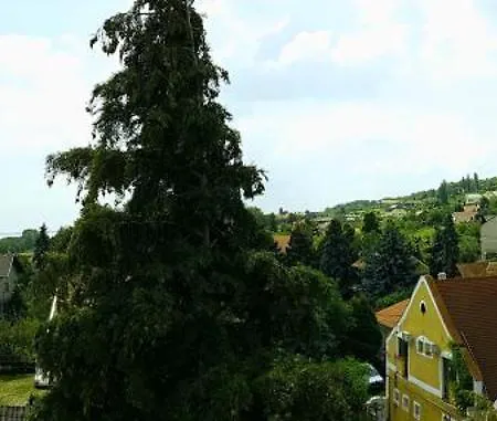 Szatmari Vendeghaz Konukevi