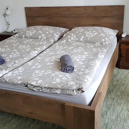 Szatmari Vendeghaz Guest house