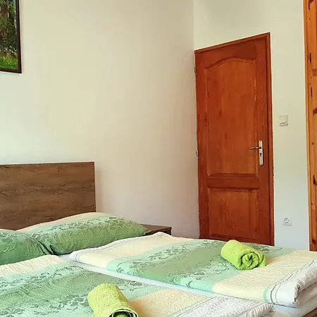 Szatmari Vendeghaz Guest house *