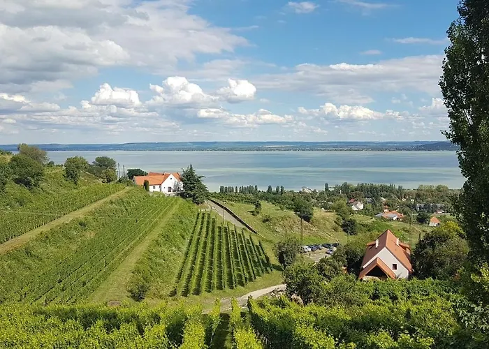 Szatmari Vendeghaz 3*