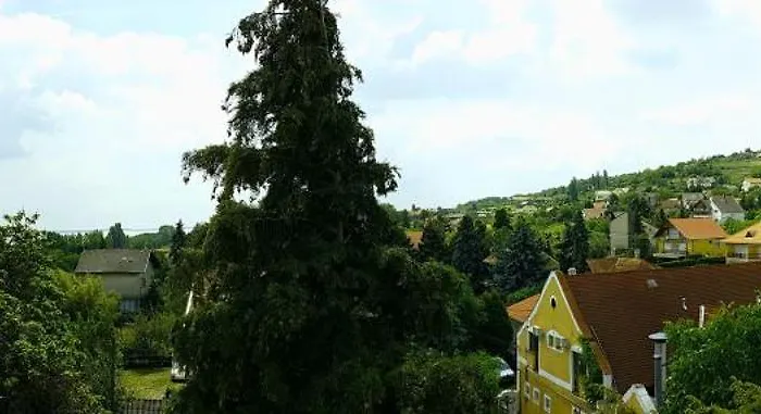 Szatmari Vendeghaz Pensjonat