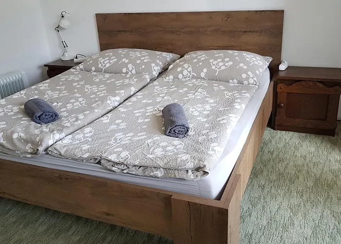 Szatmari Vendeghaz Pensjonat