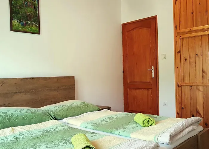 Szatmari Vendeghaz Guest house 3*